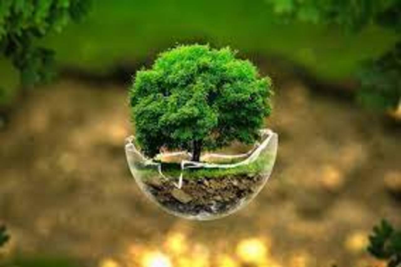 چگونگی تحقیق برای رشته‌های زیست شناسی